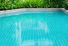 Dicksonswimming-pool-landscaping-17.jpg; ?>